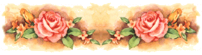 ���վ�༭����