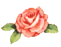 ���վ�༭����