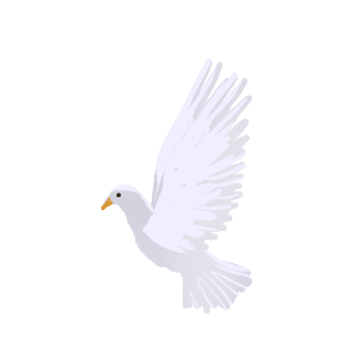 动态和平鸽